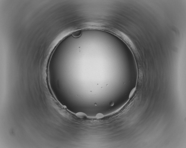 X0000113531435200909181125