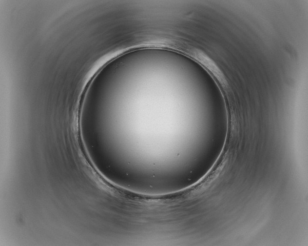 X0000113531436200909181125