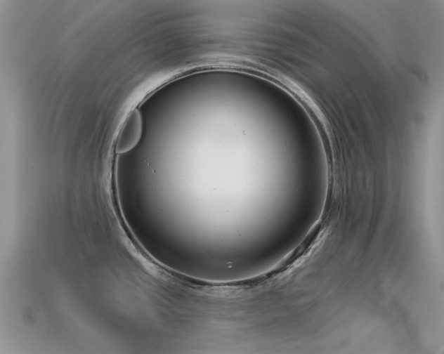 X0000113531437200909181125