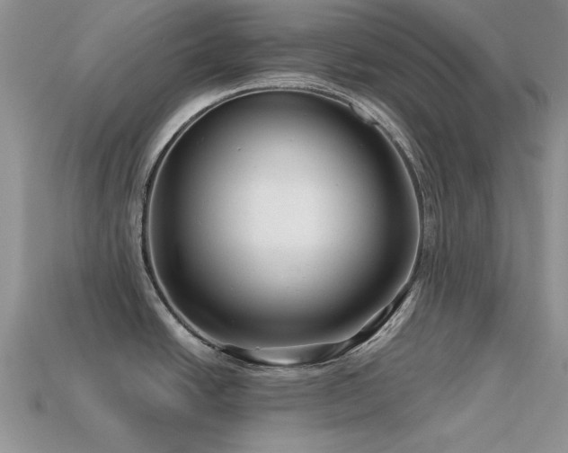X0000113531438200909181126