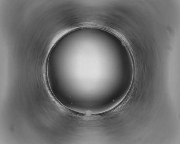 X0000113531440200909181126