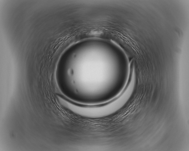 X0000113531441200909181125