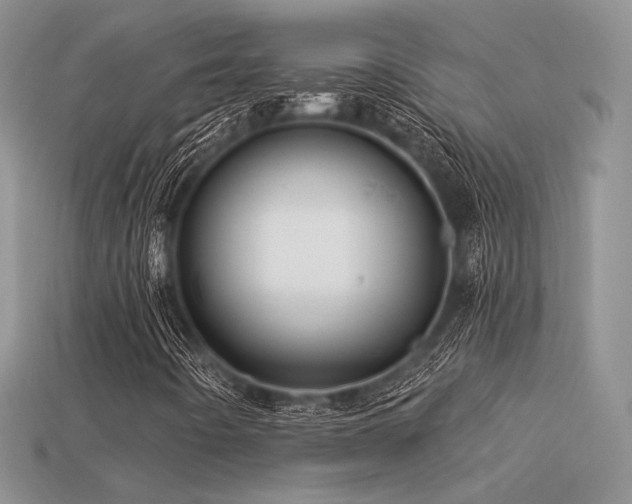 X0000113531442200909181125