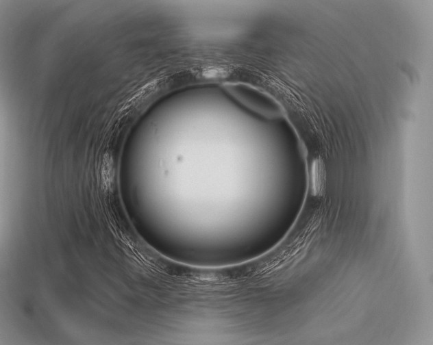 X0000113531443200909181125