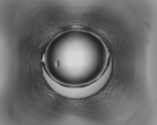 X0000113531444200909181125
