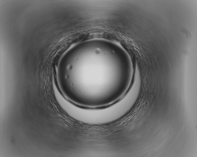 X0000113531445200909181125
