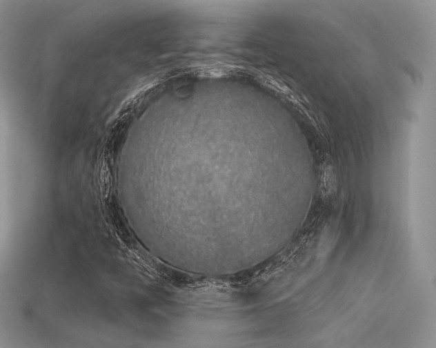 X0000113531446200909181125