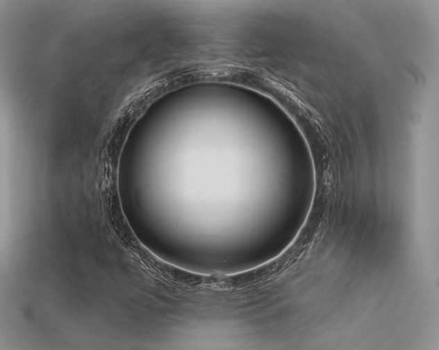 X0000113531447200909181125
