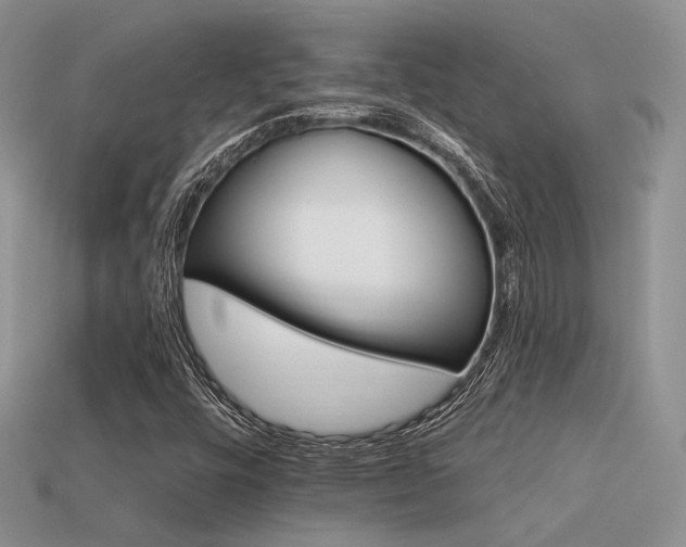 X0000113531448200909181125