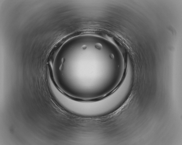 X0000113531449200909181125