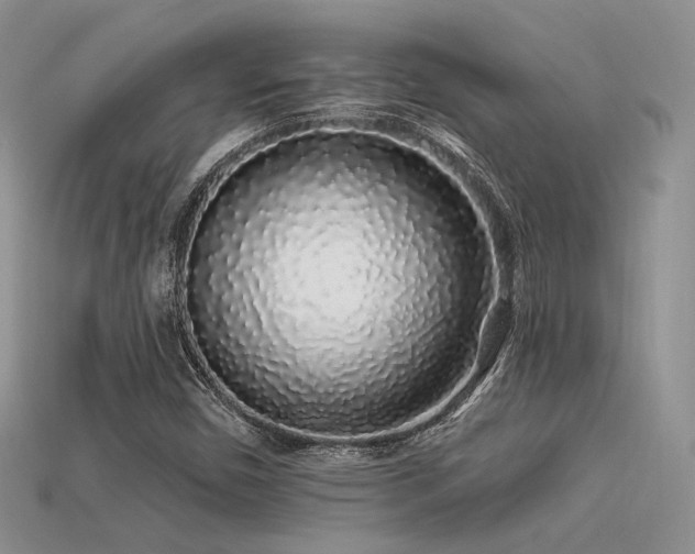 X0000113531450200909181125