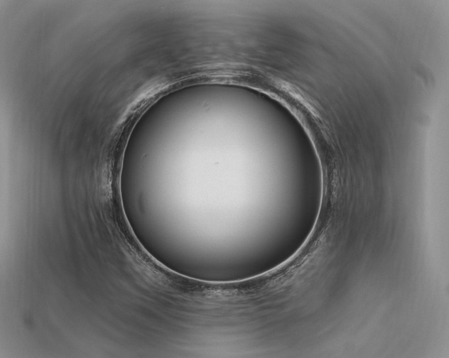 X0000113531451200909181125