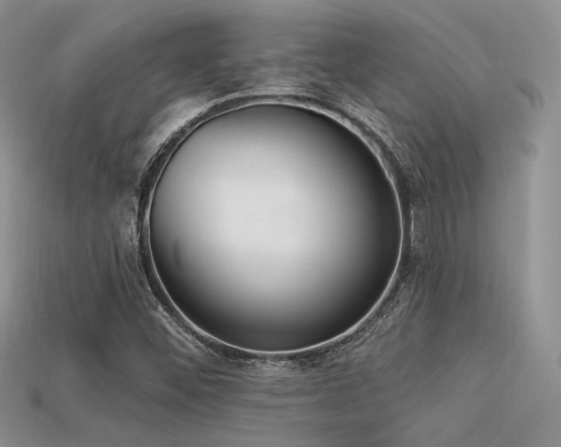 X0000113531452200909181125