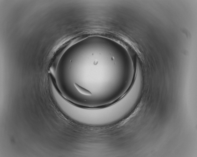 X0000113531453200909181125