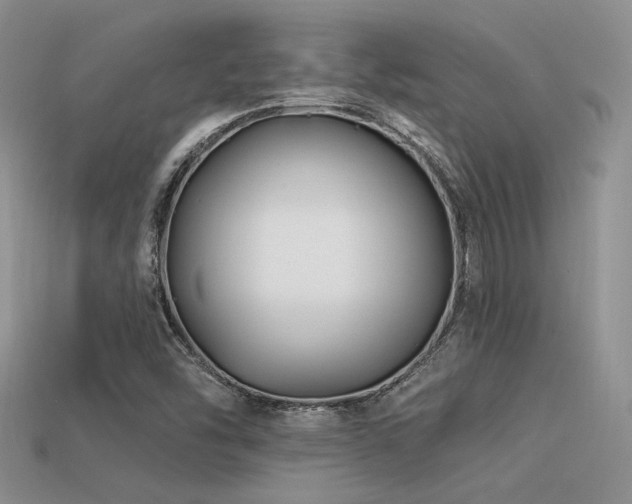 X0000113531454200909181125