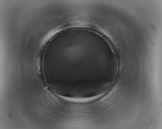 X0000113531455200909181125