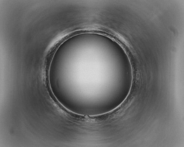 X0000113531456200909181125