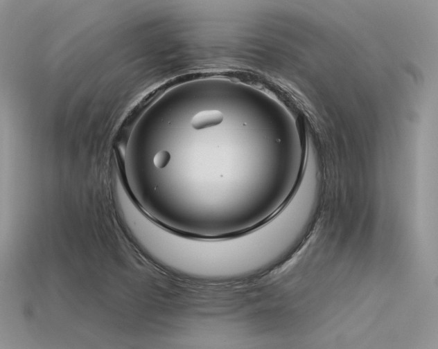 X0000113531457200909181125