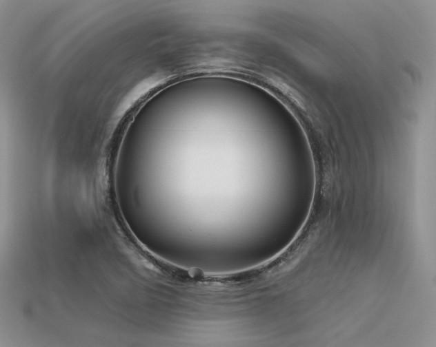 X0000113531458200909181125