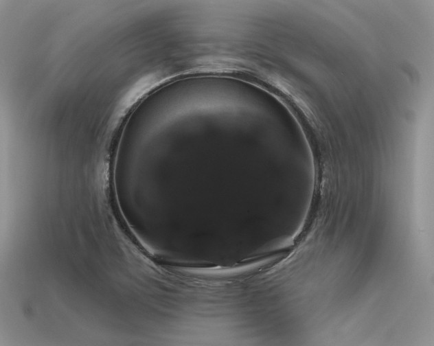 X0000113531459200909181125