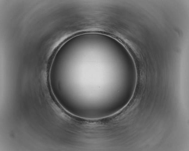 X0000113531460200909181125