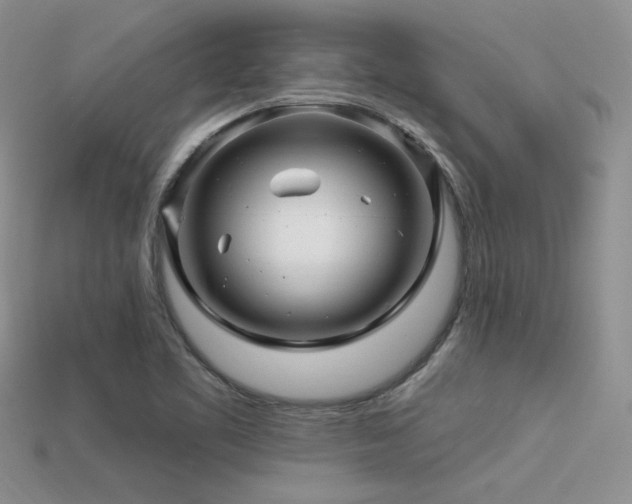 X0000113531461200909181125