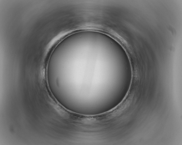 X0000113531462200909181125