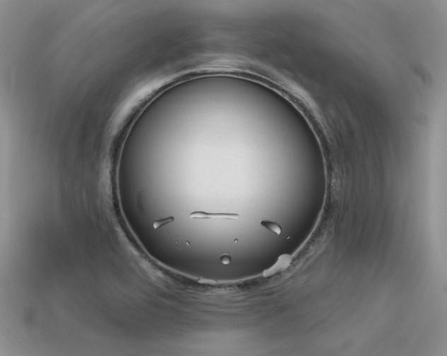X0000113531464200909181125
