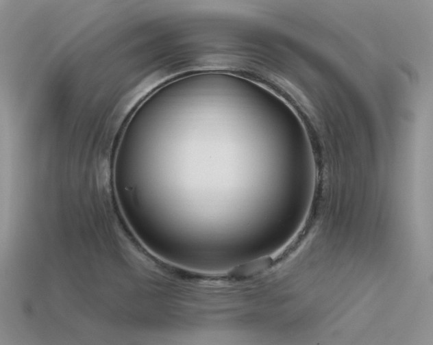 X0000113531465200909181125