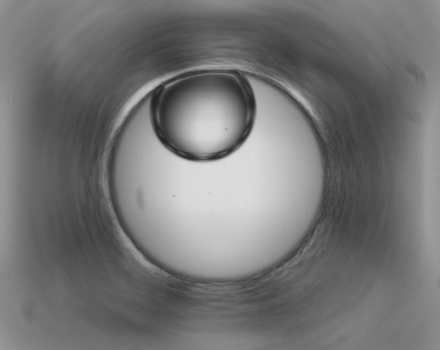 X0000113531468200909181125