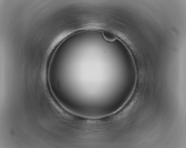 X0000113531469200909181125