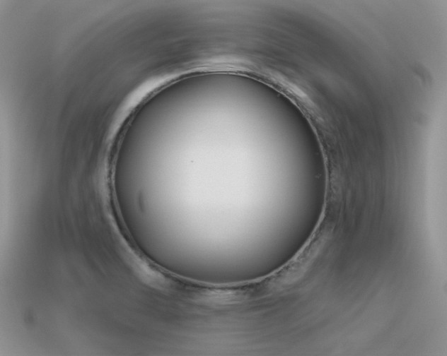 X0000113531470200909181124