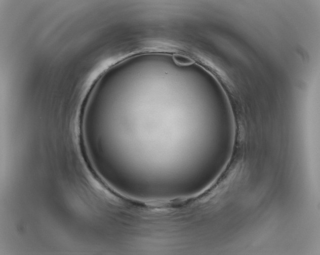 X0000113531471200909181124