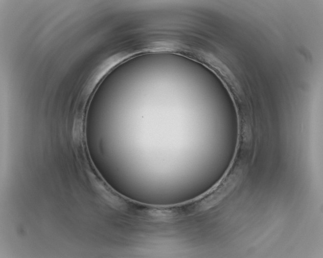 X0000113531473200909181124