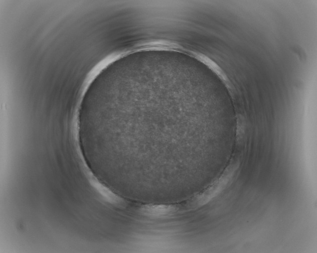 X0000113531474200909181124