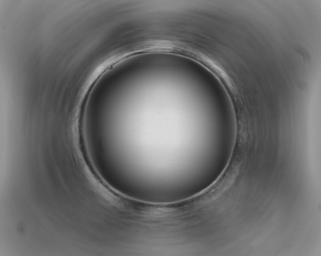 X0000113531475200909181124