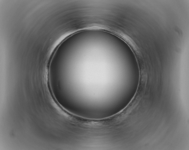 X0000113531476200909181124