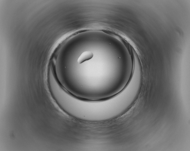 X0000113531477200909181124