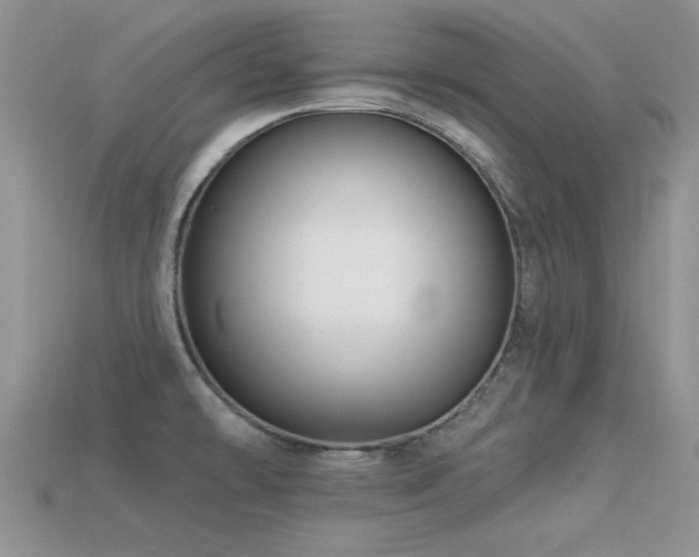 X0000113531478200909181124