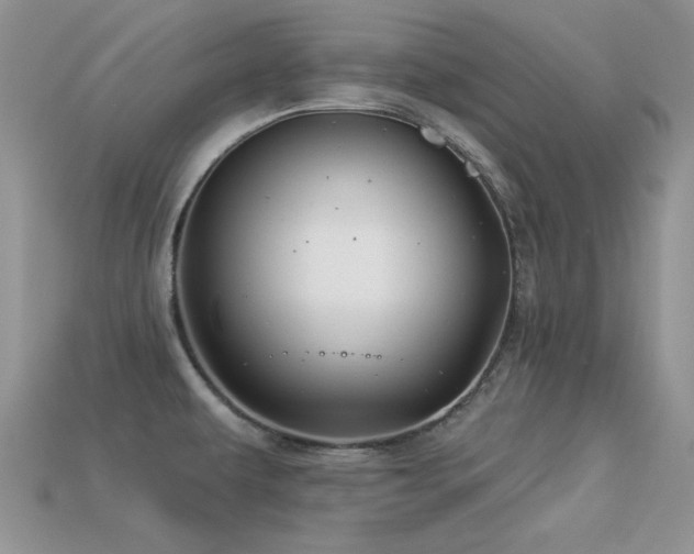 X0000113531479200909181124