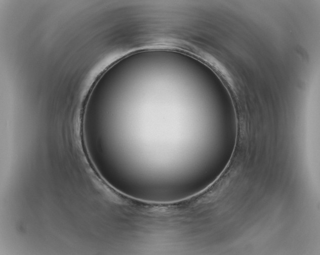X0000113531480200909181124