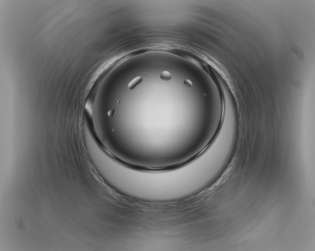 X0000113531481200909181124