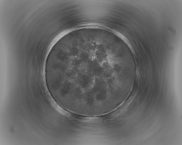 X0000113531482200909181124
