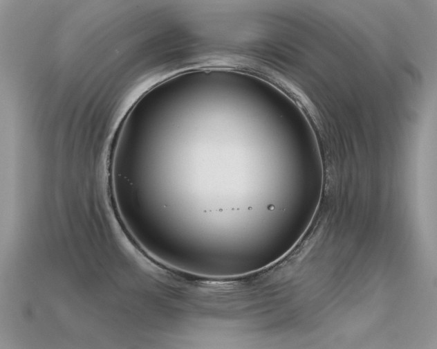 X0000113531483200909181124
