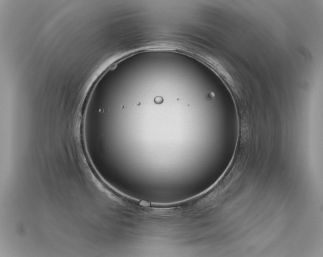 X0000113531484200909181124