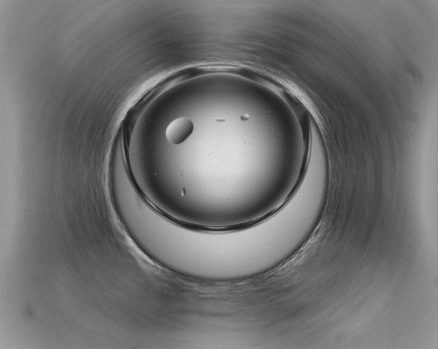 X0000113531485200909181124