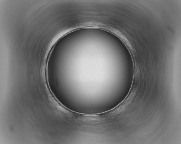 X0000113531486200909181124