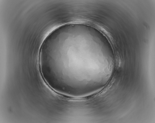X0000113531487200909181124