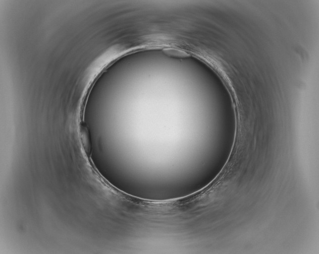 X0000113531488200909181124