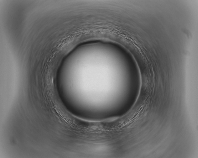 X0000113531489200909181124